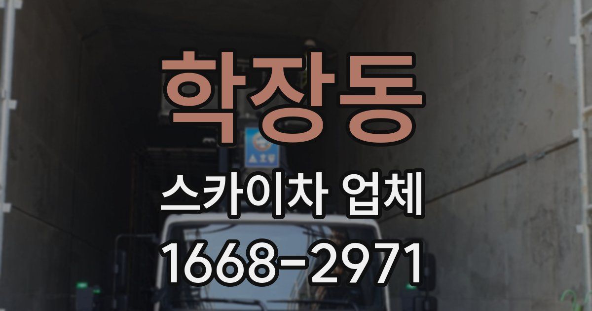 학장동 스카이차 업체
