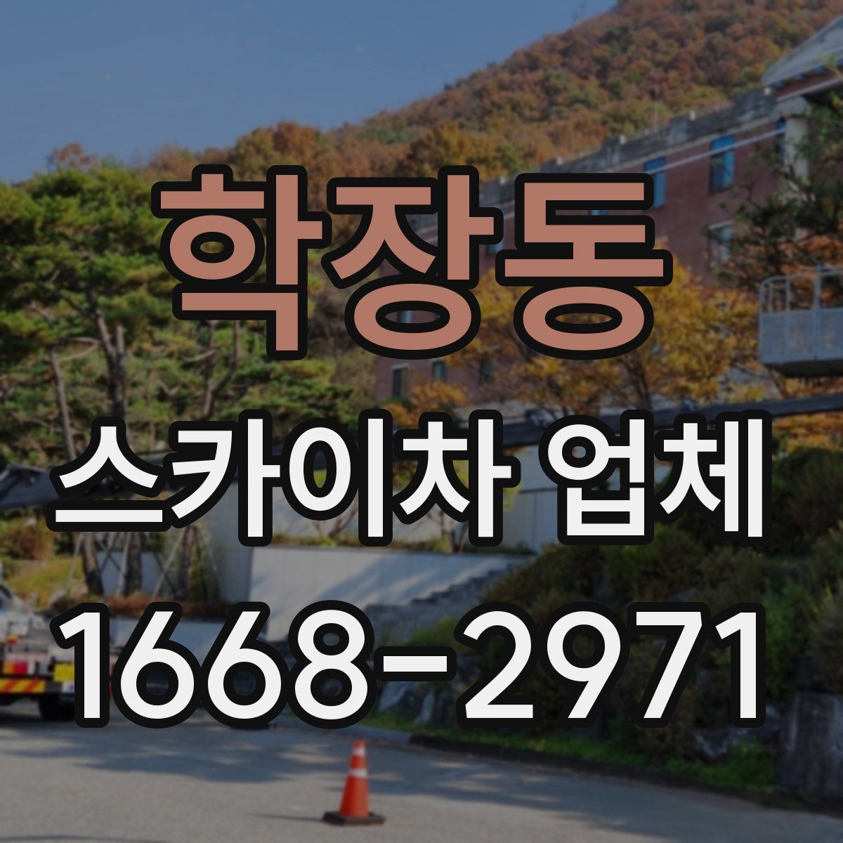 학장동 스카이차 업체