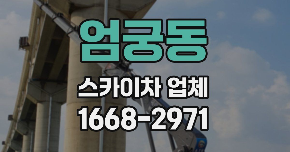 엄궁동 스카이차 업체