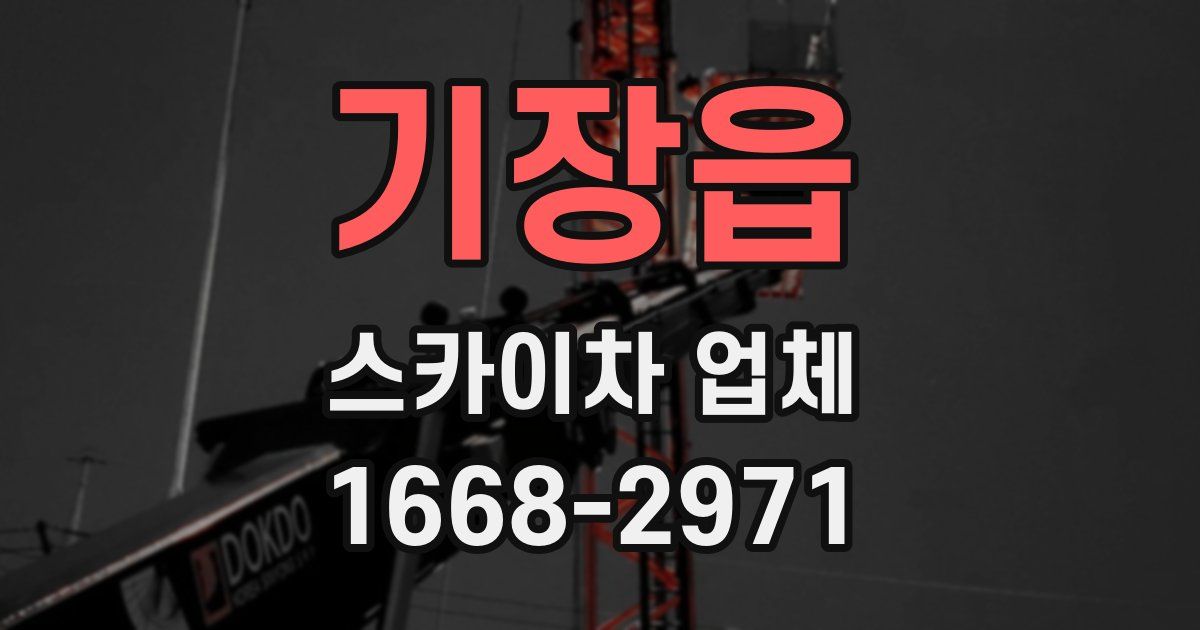 기장읍 스카이차 업체