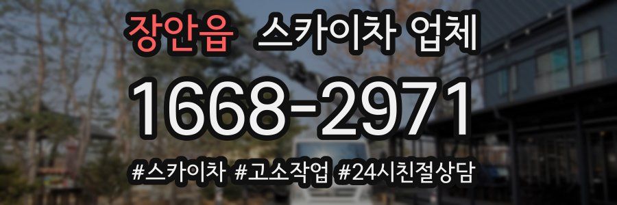 장안읍 스카이차 업체