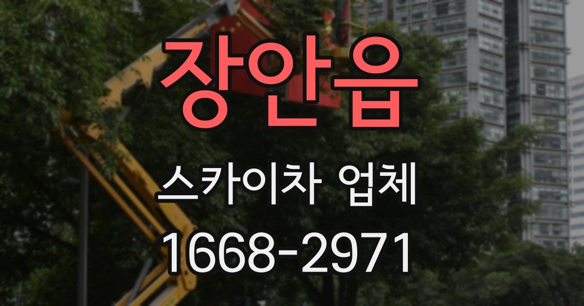 장안읍 스카이차 업체