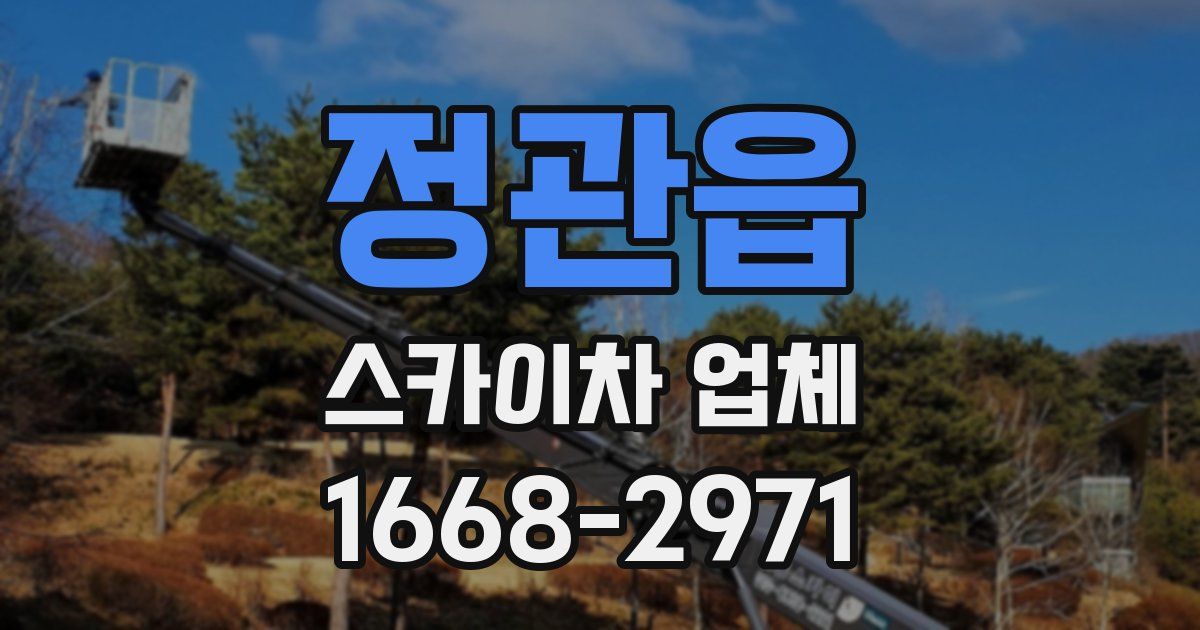 정관읍 스카이차 업체