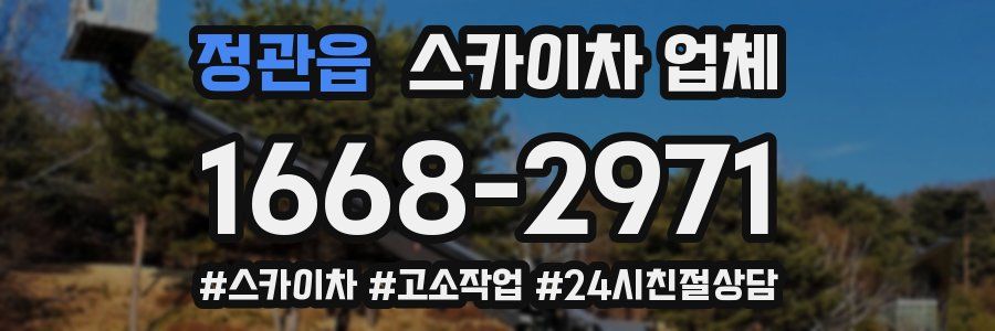 정관읍 스카이차 업체