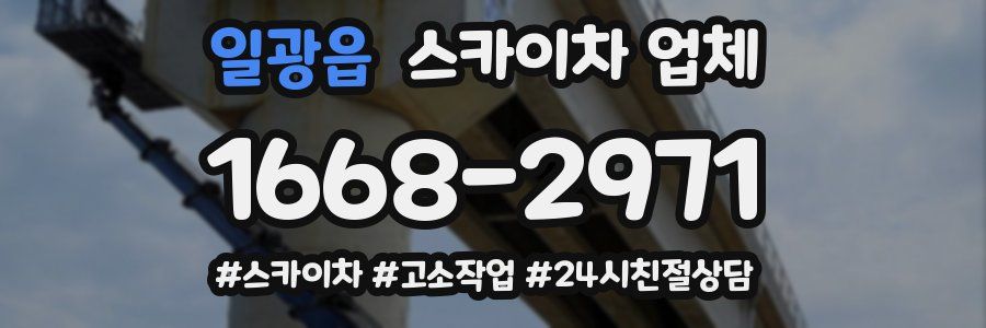 일광읍 스카이차 업체