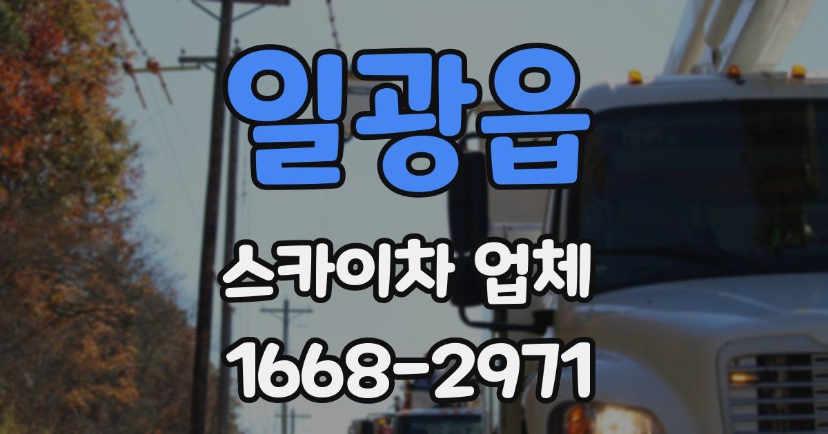 일광읍 스카이차 업체