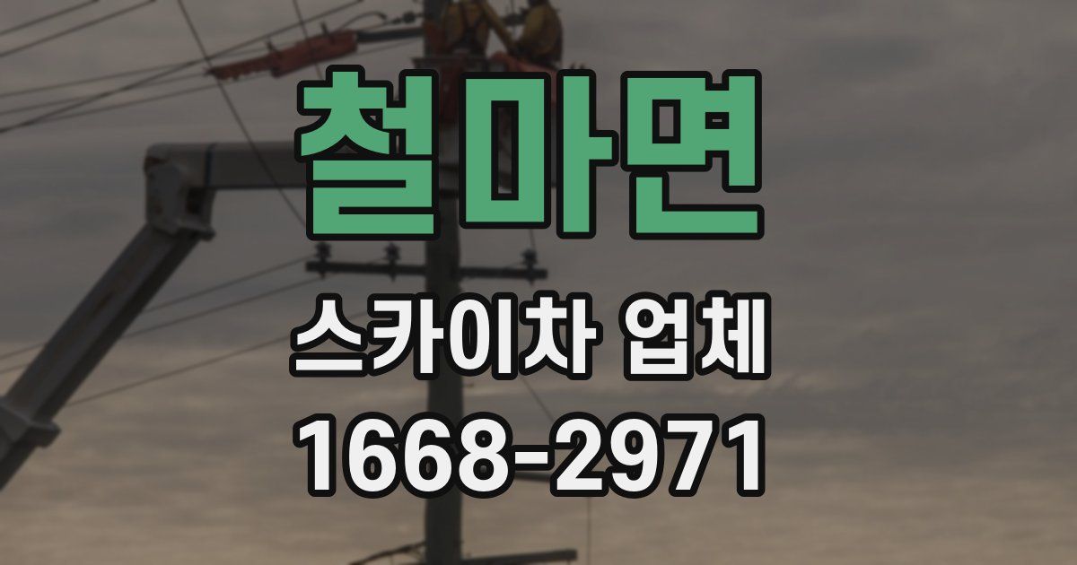 철마면 스카이차 업체