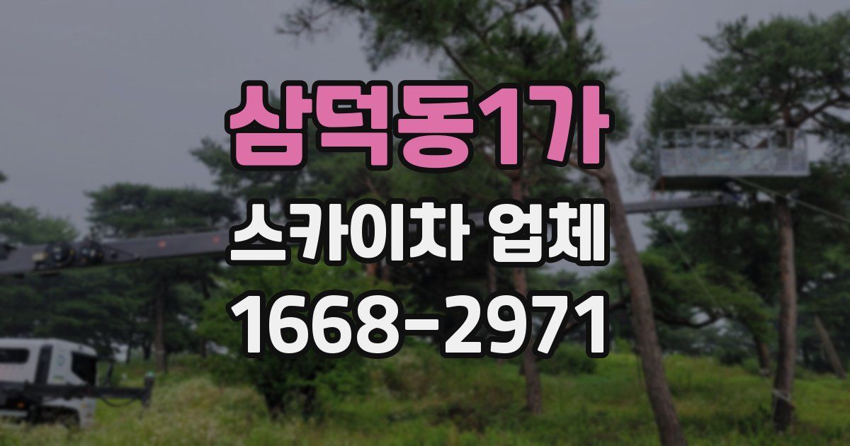 삼덕동1가 스카이차 업체
