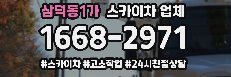 삼덕동1가 스카이차 업체