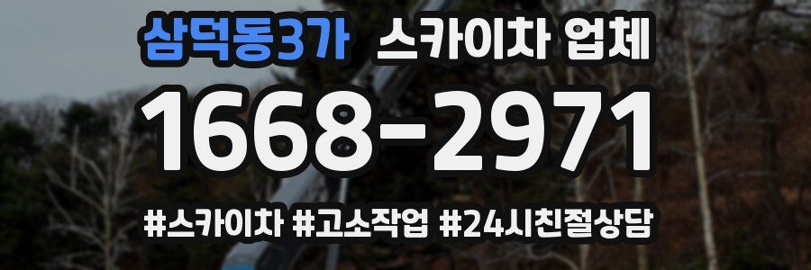 삼덕동3가 스카이차 업체