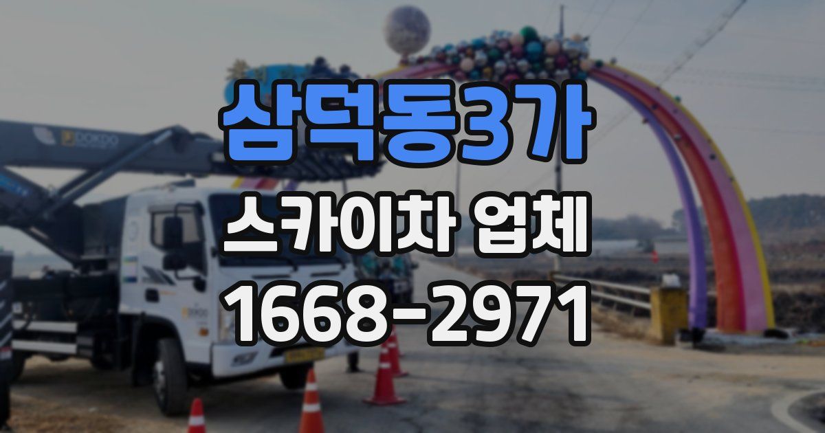 삼덕동3가 스카이차 업체