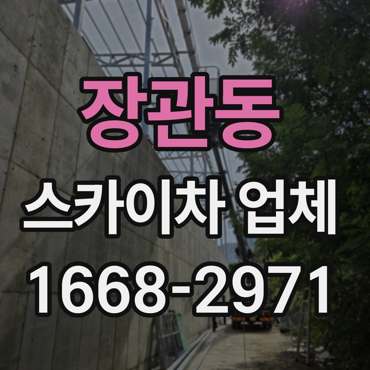 장관동 스카이차 업체