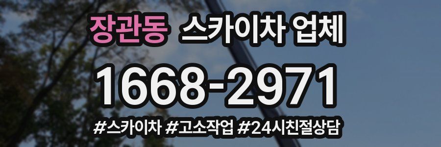 장관동 스카이차 업체