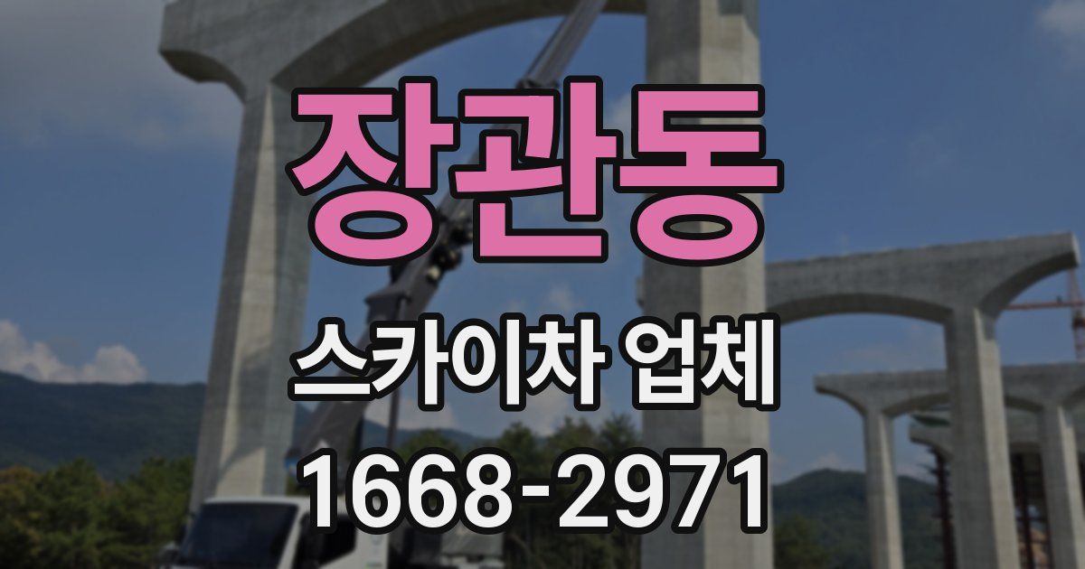 장관동 스카이차 업체