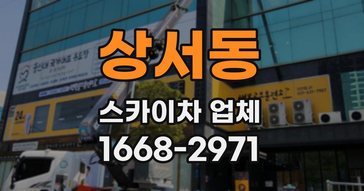 상서동 스카이차 업체