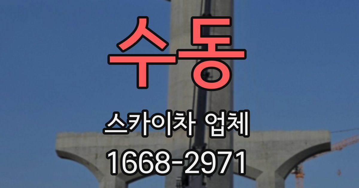수동 스카이차 업체