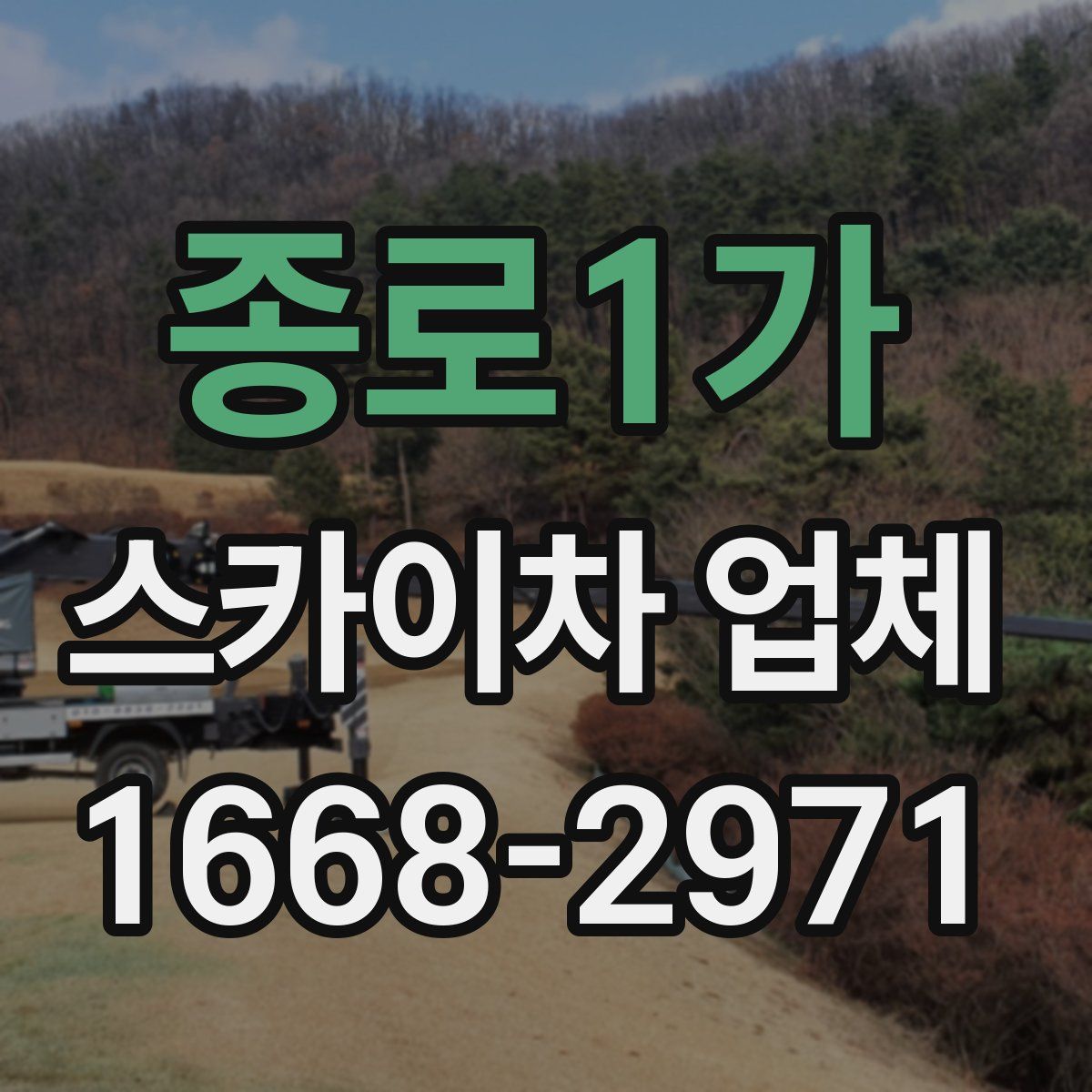 종로1가 스카이차 업체