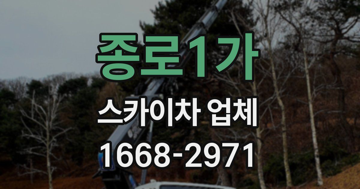 종로1가 스카이차 업체