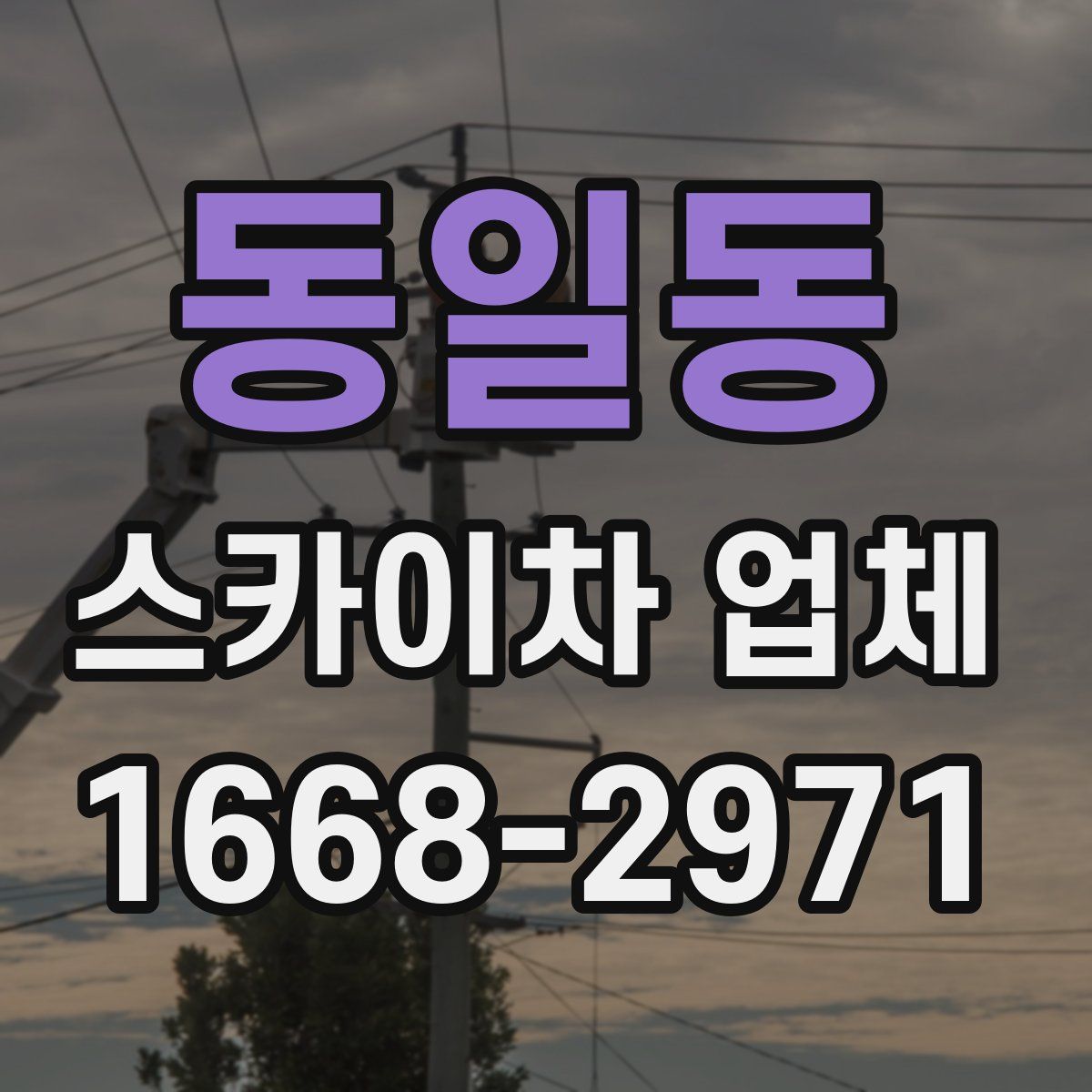 동일동 스카이차 업체