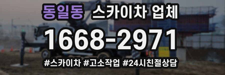 동일동 스카이차 업체