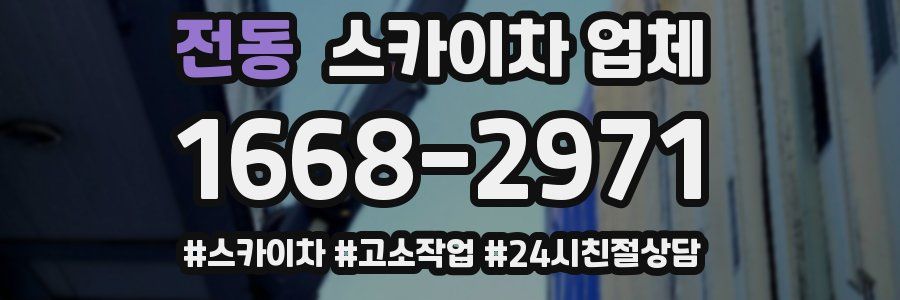 전동 스카이차 업체