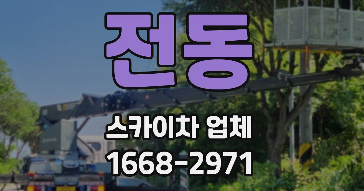 전동 스카이차 업체