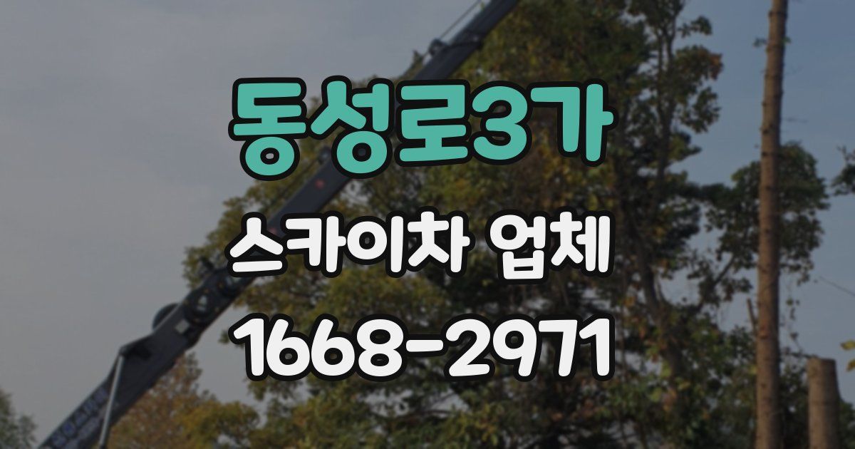 동성로3가 스카이차 업체