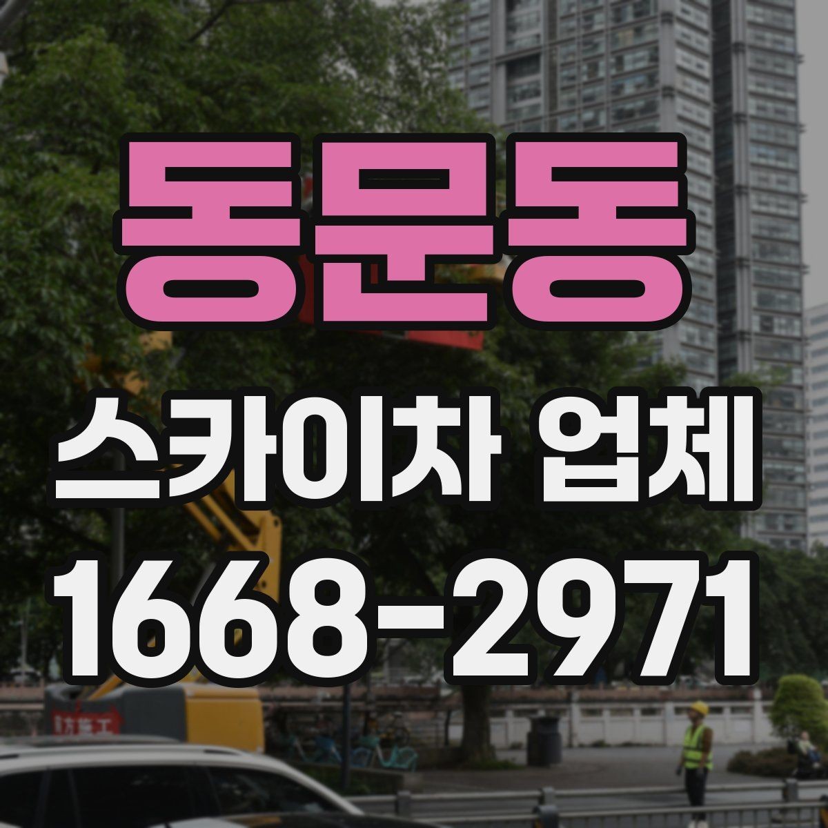 동문동 스카이차 업체 비교 시 놓치지 말아야 할 포인트