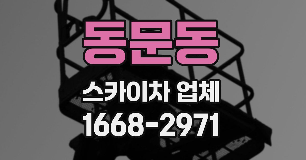 동문동 스카이차 업체