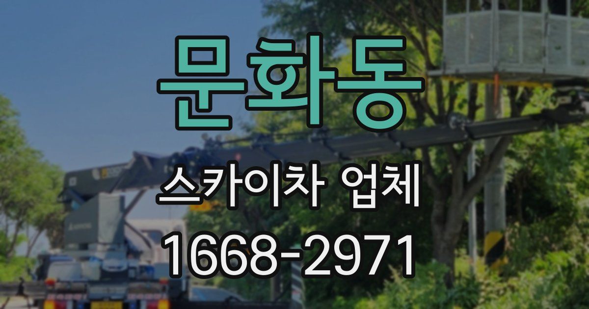 문화동 스카이차 업체