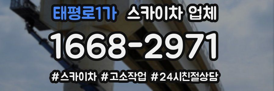 태평로1가 스카이차 업체
