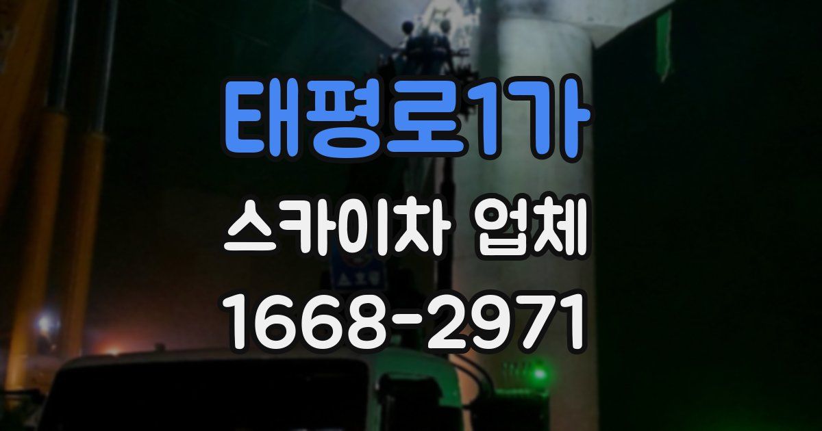태평로1가 스카이차 업체