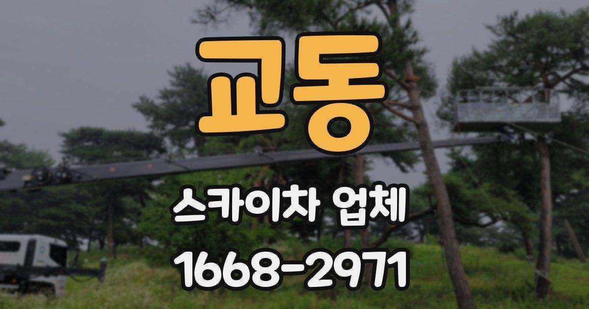 교동 스카이차 업체