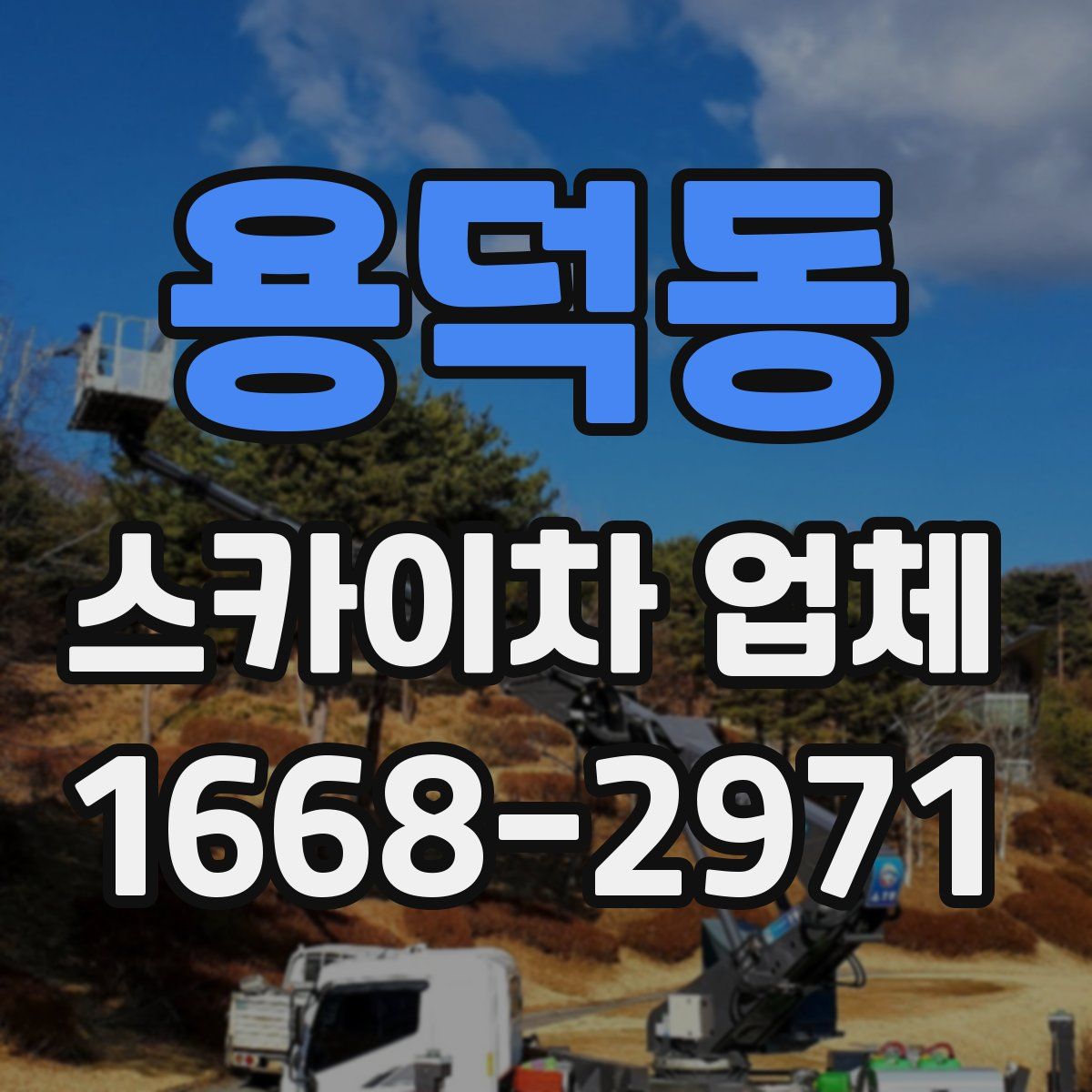 용덕동 스카이차 업체