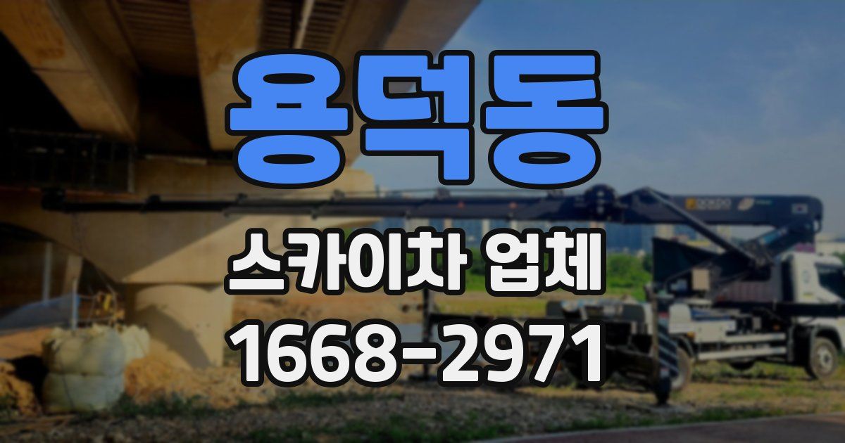 용덕동 스카이차 업체