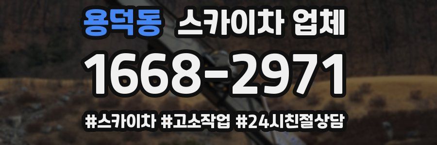 용덕동 스카이차 업체