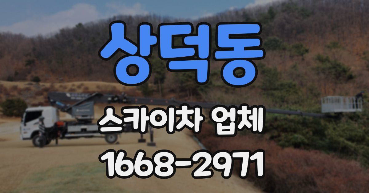 상덕동 스카이차 업체