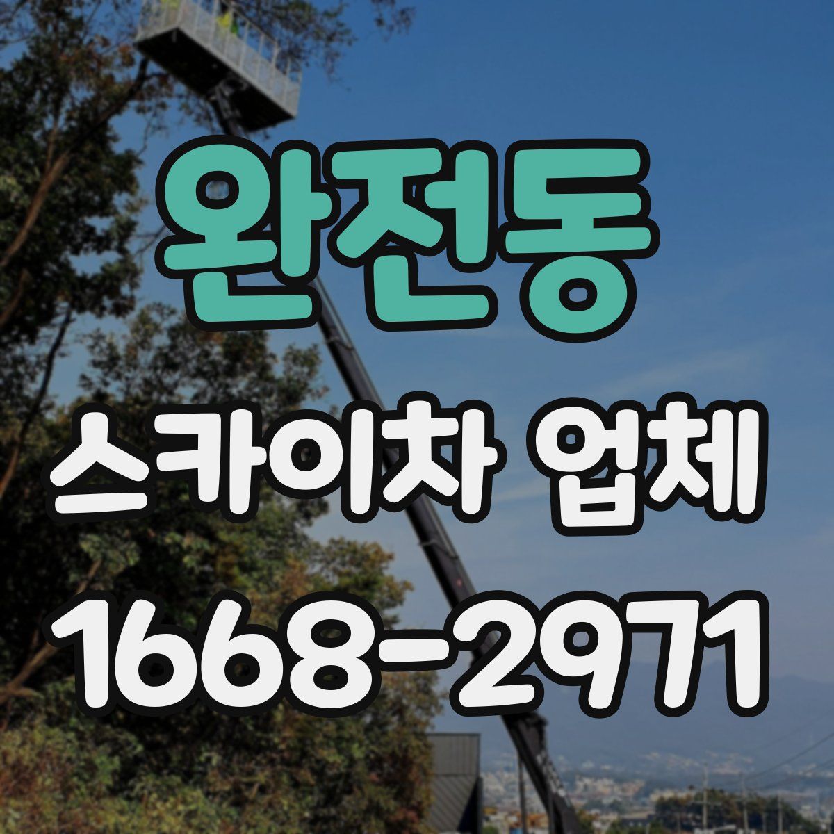 완전동 스카이차 업체
