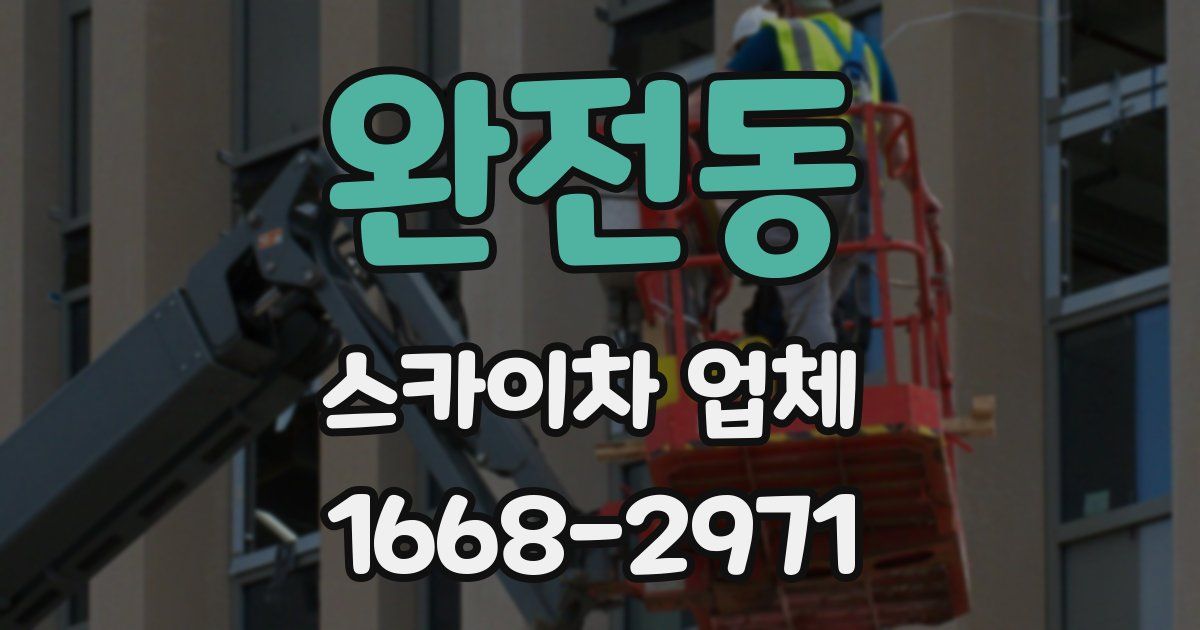완전동 스카이차 업체