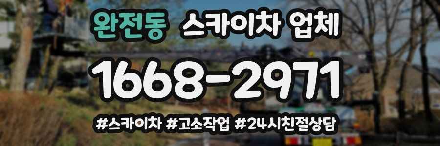 완전동 스카이차 업체