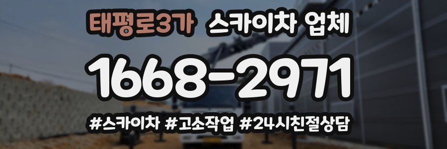태평로3가 스카이차 업체