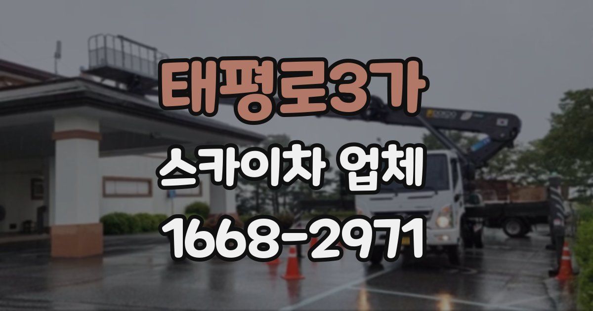 태평로3가 스카이차 업체