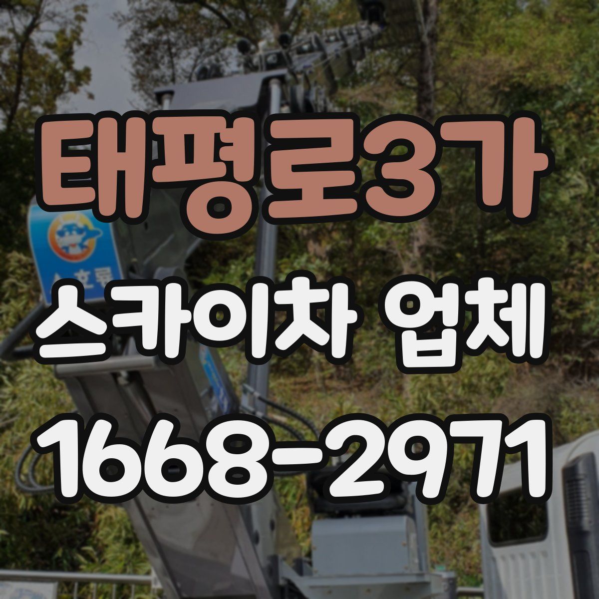 태평로3가 스카이차 업체