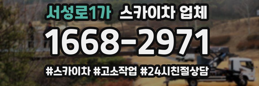 서성로1가 스카이차 업체