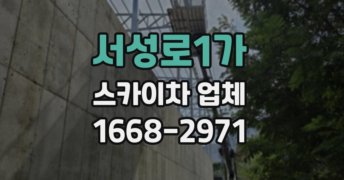 서성로1가 스카이차 업체