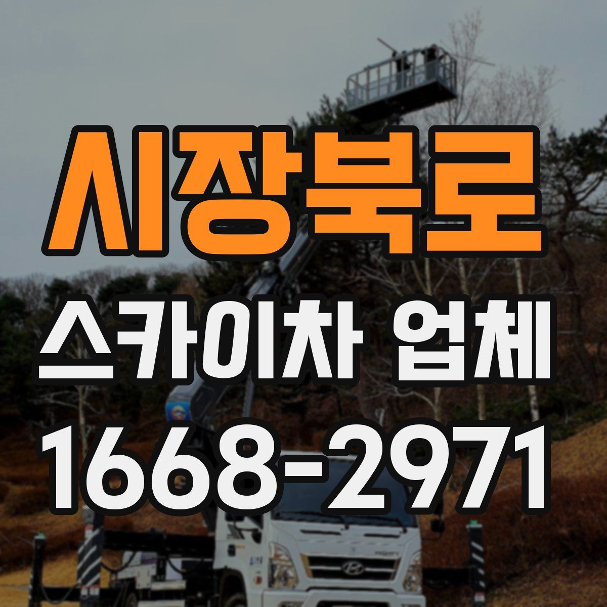 시장북로 스카이차 업체