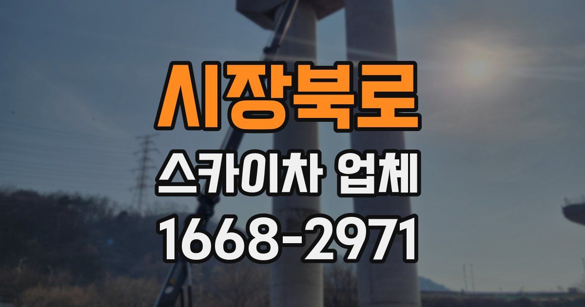 시장북로 스카이차 업체