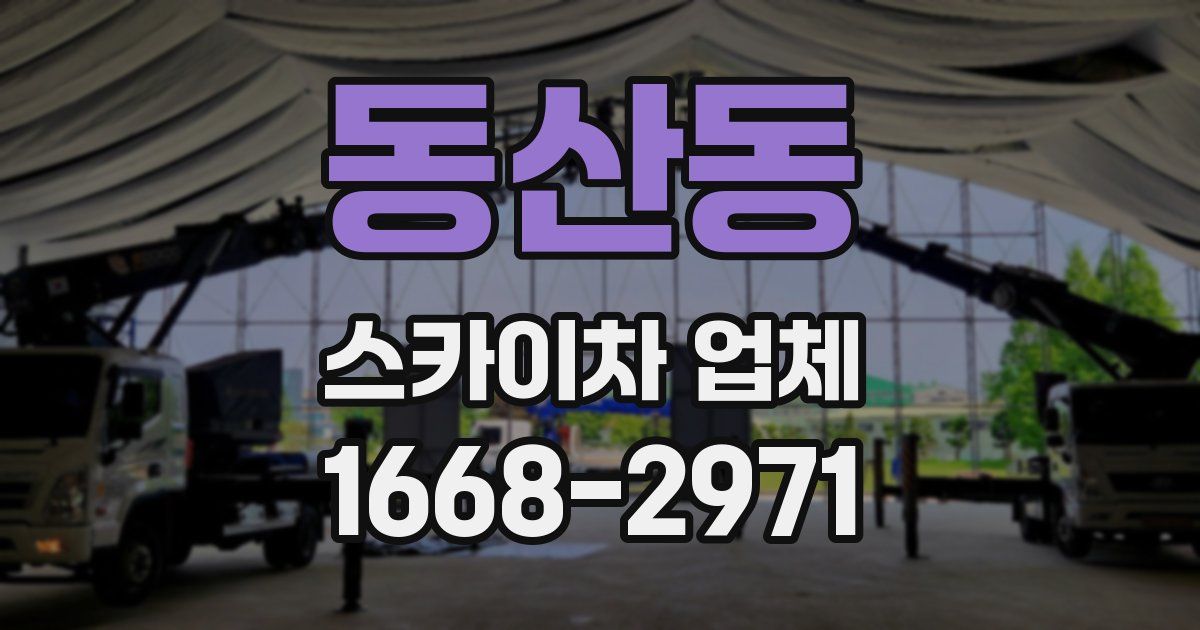 동산동 스카이차 업체