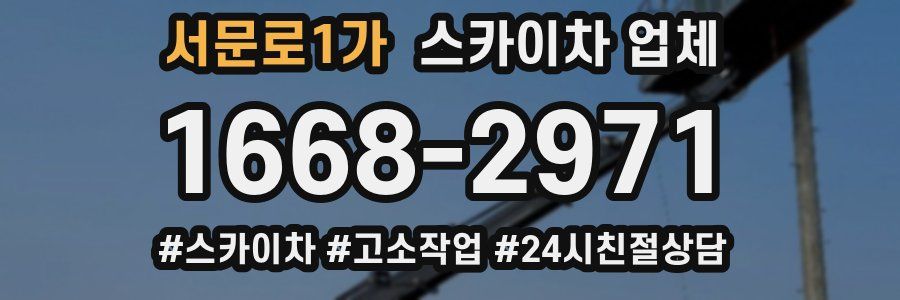 서문로1가 스카이차 업체