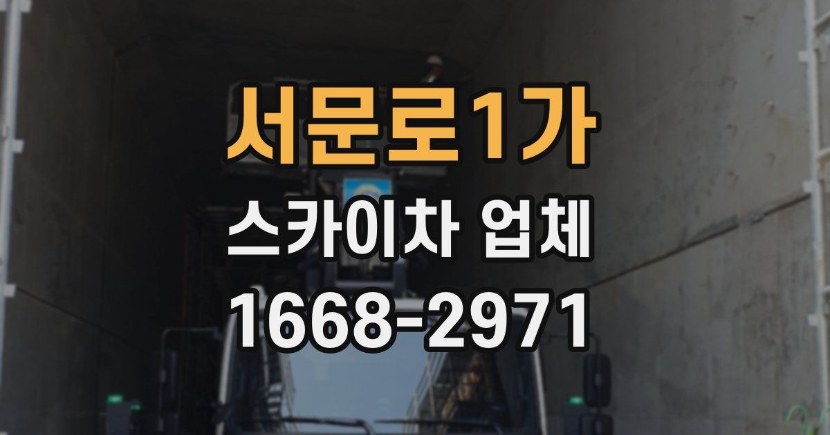 서문로1가 스카이차 업체